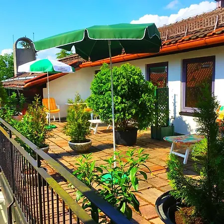 Zellerwirt Hotel Hotel